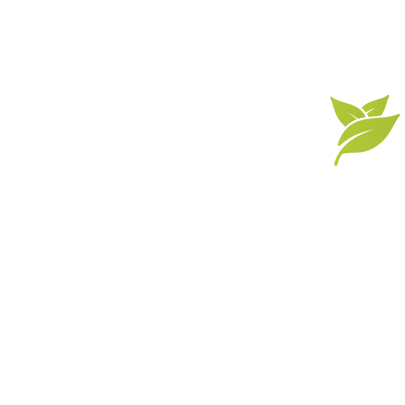 Salisbury 35 Logo